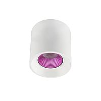 DK3090-WH+PI Светильник накладной IP 20, 10 Вт, GU5.3, LED, белый/розовый, пластик в Чегеме