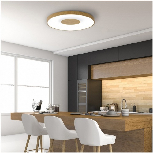 Накладной светильник Mantra Coin 7562 в Нижнем Новгороде фото 4