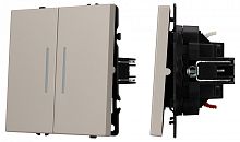 Выключатель проходной двухклавишный с подсветкой без рамки Arlight SWT-NOBE 059421 в Нижнем Новгороде