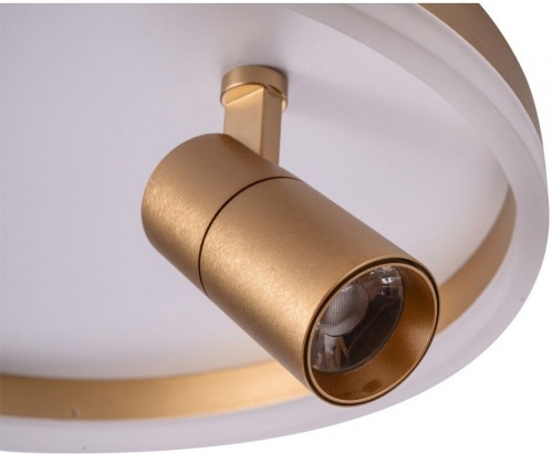 Накладной светильник Zortes Raizy ZRS.1888.04 в Нижнем Новгороде фото 2