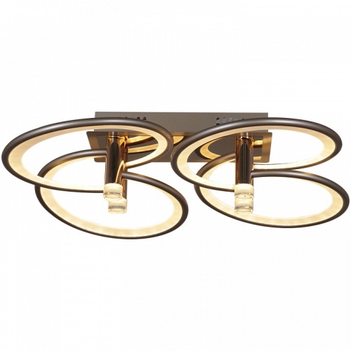 Потолочная люстра 09253-0.3-4S Champaign silver в Нижнем Новгороде фото 6