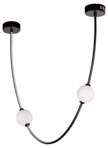 Подвесной светильник Loft it Embrace 10242/600 Black в Нижнем Новгороде фото 5