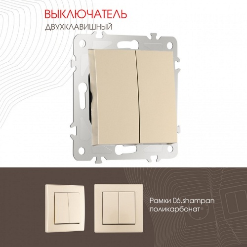 Выключатель двухклавишный без рамки Arte Milano 206 206.30-2.shampan в Нижнем Новгороде фото 4