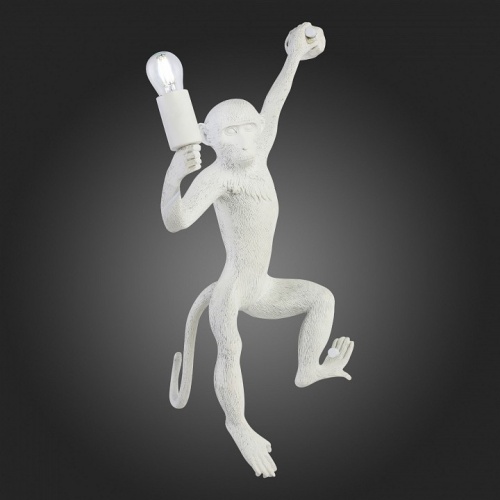 Накладной светильник EVOLUCE Tenato SLE115111-01 в Нижнем Новгороде фото 3