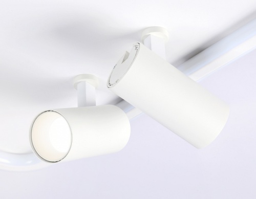 Накладной светильник Ambrella Light FL FL5114 в Нижнем Новгороде фото 5