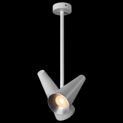 Светильник на штанге Maytoni Giro MOD095CL-02W в Нижнем Новгороде фото 4