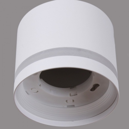 Накладной светильник 29560-0.3-2+2 WH+WOOD в Нижнем Новгороде фото 9