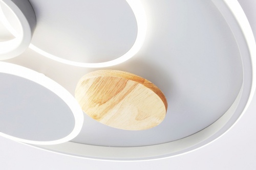 Накладной светильник Ambrella Light FL FL4803 в Нижнем Новгороде фото 2