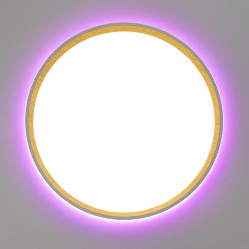 Накладной светильник Citilux ETALON CL750320R в Нижнем Новгороде фото 6