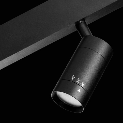 Светильник на штанге Lightstar Teta 205017R в Нижнем Новгороде фото 2