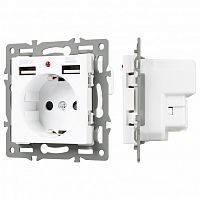 Розетка с заземлением и 2хUSB type A, без рамки Arlight SCT 043733 в Нижнем Новгороде