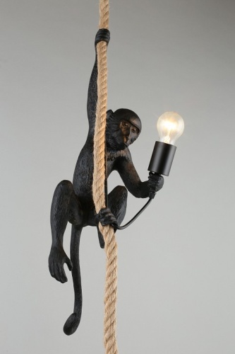 Подвесной светильник Aployt Magali APL.309.16.01 в Нижнем Новгороде фото 14