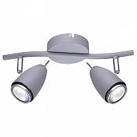 Спот Arte Lamp Regista A1966AP-2GY в Нижнем Новгороде