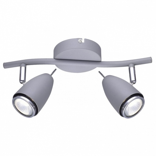 Спот Arte Lamp Regista A1966AP-2GY в Нижнем Новгороде