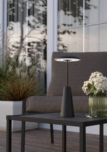 Настольная лампа декоративная Eglo PICCOLA 900925 в Нижнем Новгороде фото 3