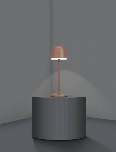 Настольная лампа декоративная Eglo ПРОМО Mannera 900459 в Мегионе фото 5