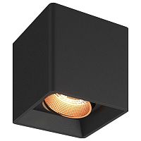 Накладной светильник Denkirs DK3030 DK3080-BBR в Нижнем Новгороде