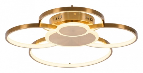 Потолочная люстра MyFar Nora MR1171-CL в Нижнем Новгороде фото 3