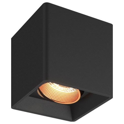 Накладной светильник Denkirs DK3030 DK3080-BBR в Нижнем Новгороде