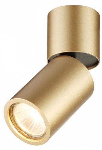 Накладной светильник Odeon Light Duetta 3895/1C в Нижнем Новгороде фото 4