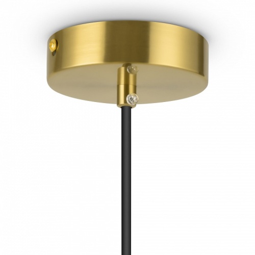 Подвесной светильник Freya Eleon FR5218PL-01BS в Нижнем Новгороде фото 3