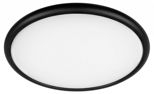 Накладной светильник Loft it Sweety 10454/500 Black в Нижнем Новгороде