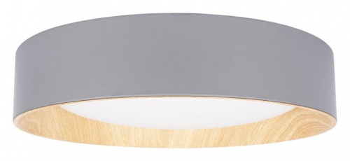 Накладной светильник Loft it Coin 10202 Grey в Кольчугино фото 6