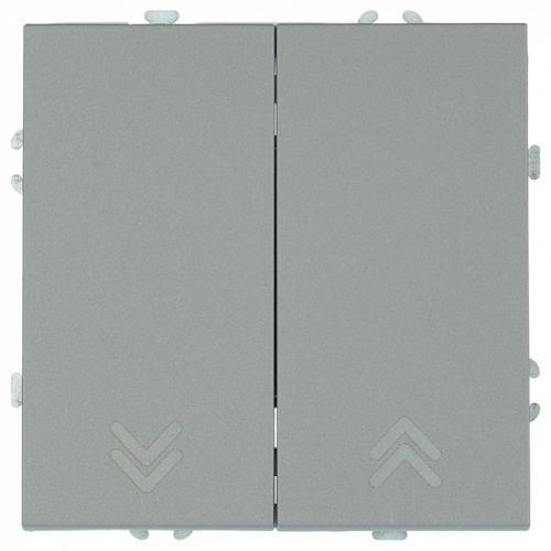 Выключатель самовозвратный двухклавишный без рамки Stekker Эмили 50329 в Нижнем Новгороде