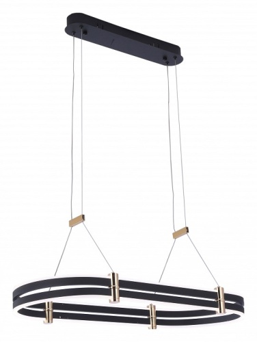 Подвесной светильник Zortes Duble-R ZRS.30505.92 в Нижнем Новгороде фото 5