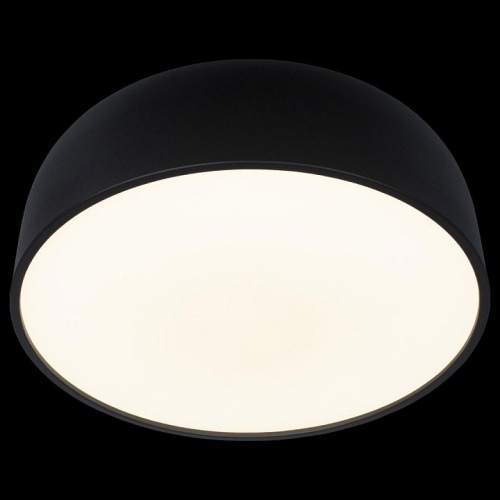 Накладной светильник Loft it Axel 10201/480 Black в Нижнем Новгороде фото 3