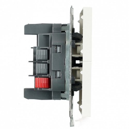 Переключатель двухклавишный без рамки Stekker Эмили 50233 в Нижнем Новгороде фото 2