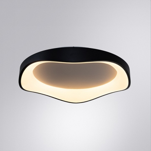 Накладной светильник Arte Lamp ANKAA A3085PL-56BK в Нижнем Новгороде фото 4