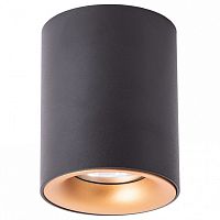 Накладной светильник Arte Lamp Torre A1532PL-1BK в Серпухове