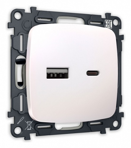 Розетка 2хUSB type A и C без рамки Ambrella Volt OMEGA MO211010 в Нижнем Новгороде