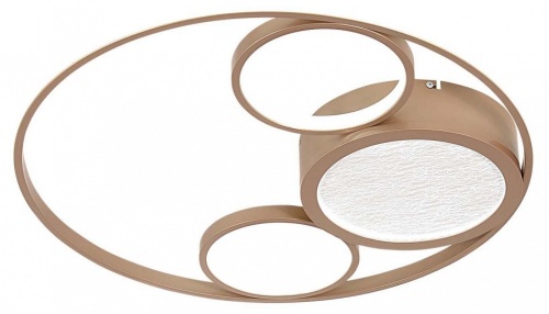 Потолочная люстра F-promo Campus 4681-4C в Нижнем Новгороде фото 9