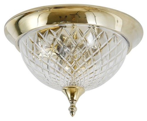 Накладной светильник Newport 6400 6403/PL gold new в Нижнем Новгороде