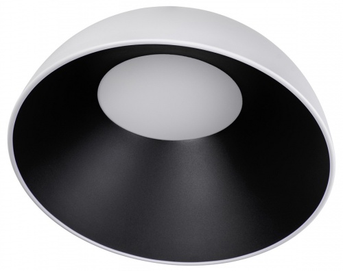 Накладной светильник Loft it Egg 10197/500 WB в Нижнем Новгороде фото 3