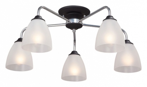 Потолочная люстра Vitaluce  V3946-1/5PL в Нижнем Новгороде