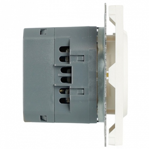 Розетка с заземлением и со шторкой и 2хUSB type A и C, без рамки Stekker Эмили 50217 в Нижнем Новгороде фото 3