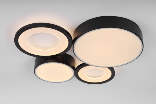 Потолочная люстра Rivoli Aliona Б0066451 в Нижнем Новгороде фото 6