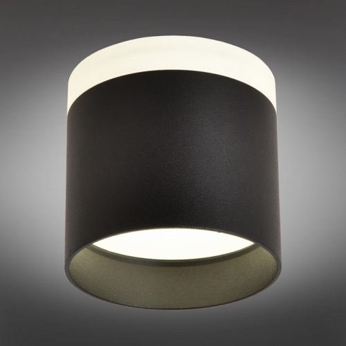 Накладной светильник Omnilux Tures OML-102319-16 в Нижнем Новгороде фото 2