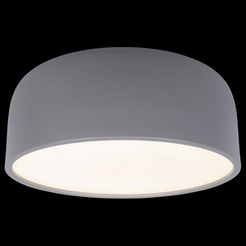 Накладной светильник Loft it Axel 10201/350 Grey в Нижнем Новгороде фото 3