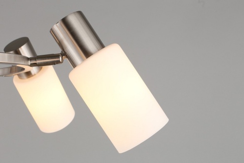 Подвесная люстра Omnilux Ales OML-69113-06 в Нижнем Новгороде фото 2