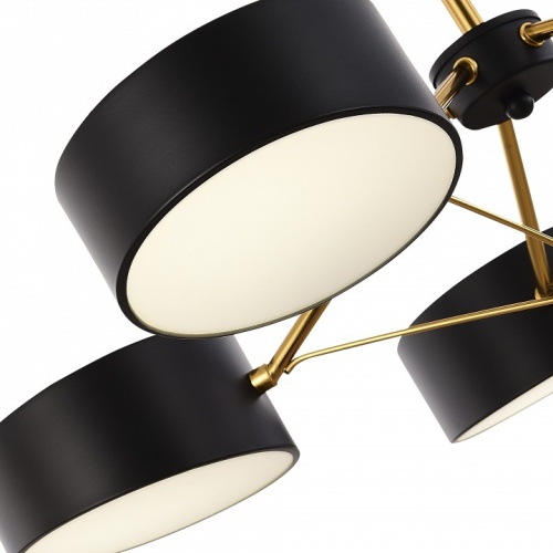 Люстра на штанге EVOLUCE Valle SLE6005-402-03 в Нижнем Новгороде фото 2