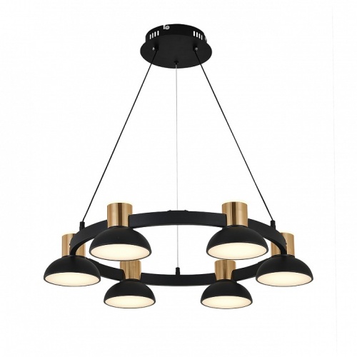 Подвесная люстра Indigo Traforo 11059/6P Black в Нижнем Новгороде фото 4