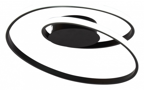 Накладной светильник Rivoli Nelly Б0062232 в Нижнем Новгороде