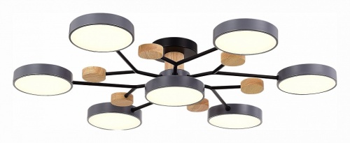 Потолочная люстра EVOLUCE Faema SLE6006-702-07 в Нижнем Новгороде фото 6