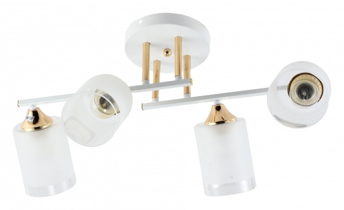 Люстра на штанге Rivoli Georgiana Б0055878 в Нижнем Новгороде