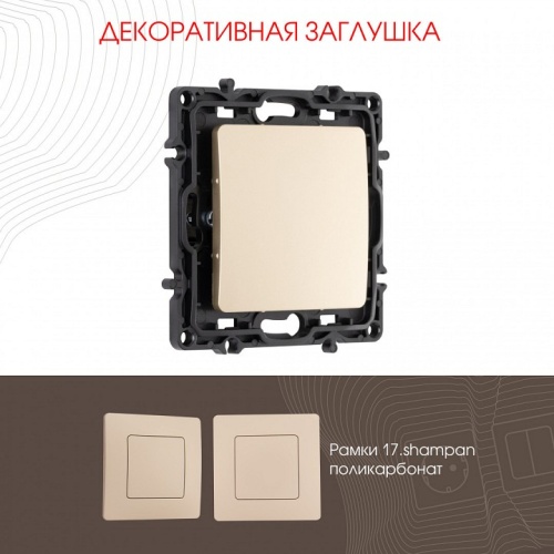 Заглушка для поста, без рамки Arte Milano am-217 217.50-1.shampan в Нижнем Новгороде фото 3