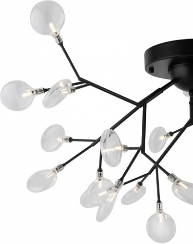 Потолочная люстра Freya Florencia FR5049CL-27B в Нижнем Новгороде фото 2